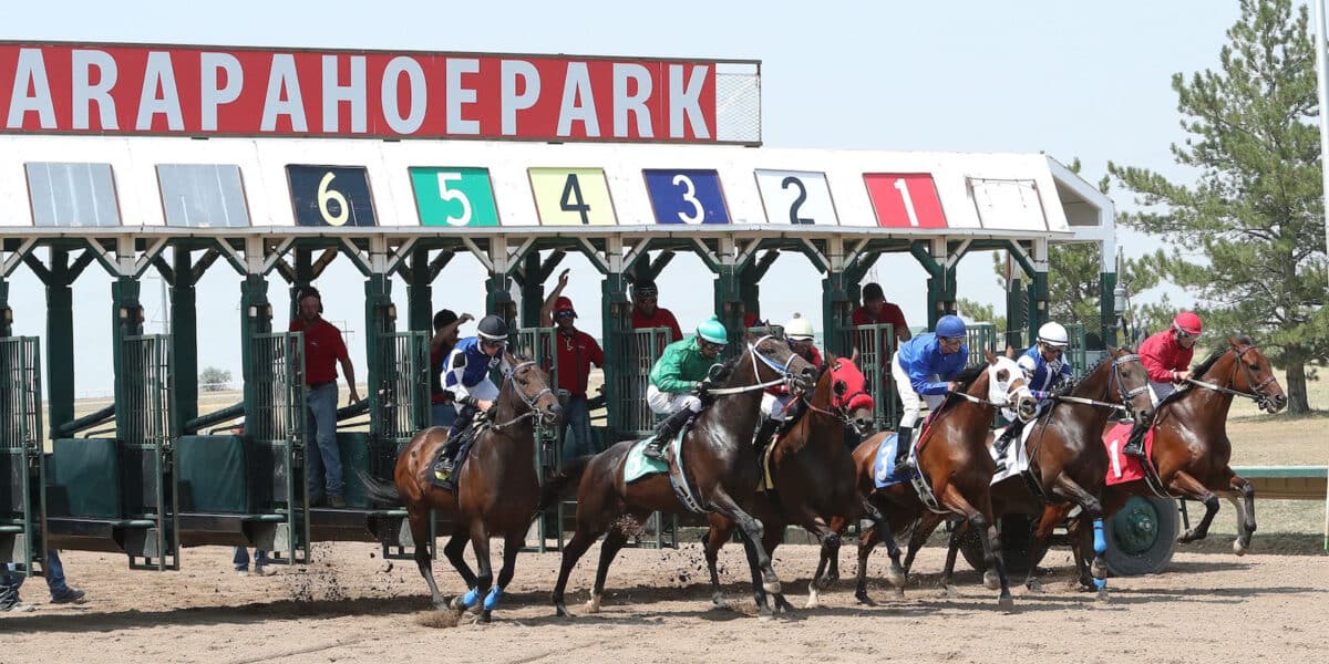 Horses racing down the track at Arapahoe Park